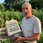 Jak wybrać idealną ziemię do pomidorów? Praktyczny poradnik dla każdego ogrodnika